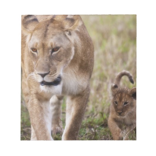 Bloc-note Lionne avec son petit (Devant)