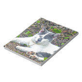 Bloc-note Little Mister Pants (Tourné)