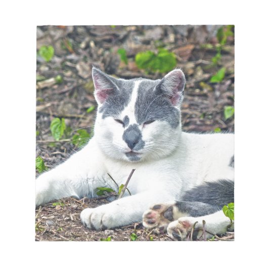 Bloc-note Little Mister Pants (Devant)