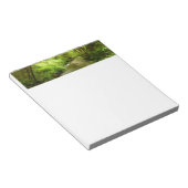 Bloc-note Lost Man Creek I au Redwood National Park (Incliné)