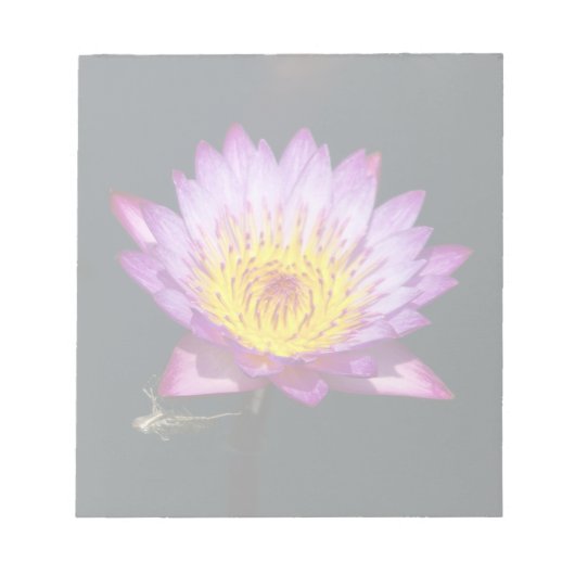 Bloc-note Lotus pourpre et jaune avec la nymphe des libellul (Devant)