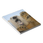 Bloc-note l'ours polaire, Ursus maritimus, regarde curieusem (Incliné)