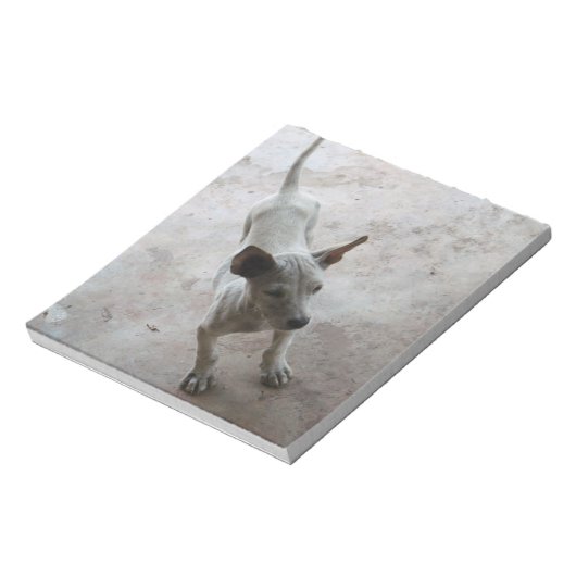 Bloc-note Luk Maa ... Chien chiot thaïlandais Soi (Tourné)