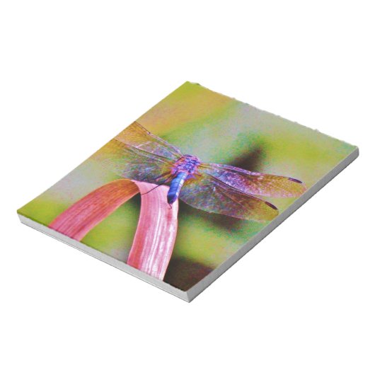 Bloc-note Lumineux Arc-en-ciel rose (Tourné)