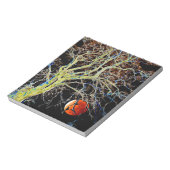 Bloc-note Lune rouge se lève (Tourné)