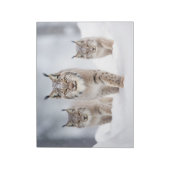 Bloc-note Lynx Famille d'animaux errants Nature (Tourné)