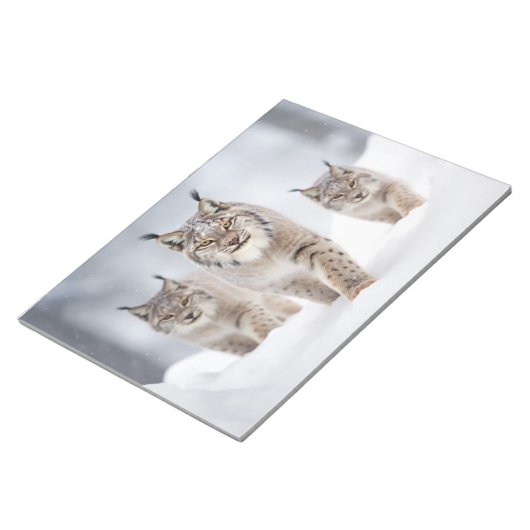 Bloc-note Lynx Famille d'animaux errants Nature (Incliné)