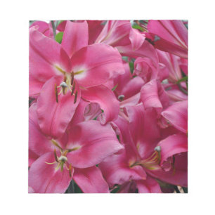 Bloc-note Lys stargazers roses