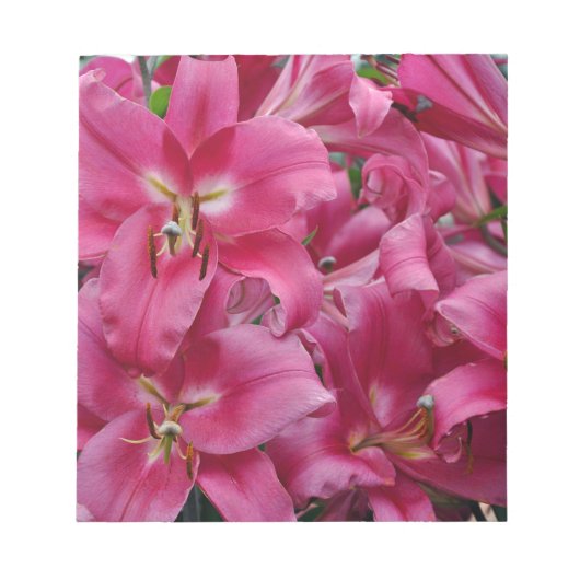 Bloc-note Lys stargazers roses (Devant)