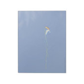 Bloc-note Macaw Kite (Tourné)