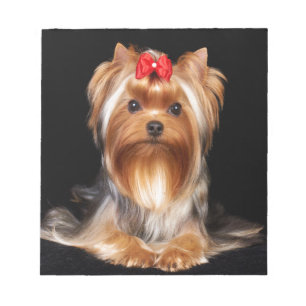 Bloc-note Magnifique Yorkshire Terrier