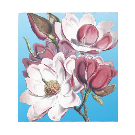 Bloc-note Magnolia En Bleu (Devant)