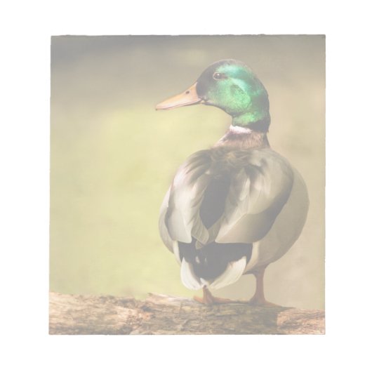 Bloc-note Mallard Duck (Devant)