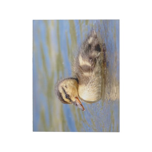 Bloc-note Mallard Duckling (Tourné)