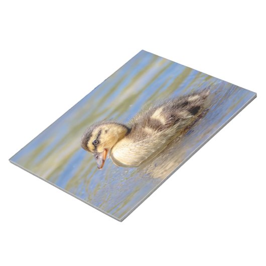 Bloc-note Mallard Duckling (Incliné)