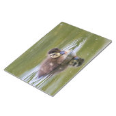 Bloc-note Mallard Duckling (Incliné)