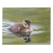Bloc-note Mallard Duckling (Devant)
