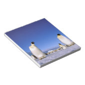 Bloc-note Manchot | Antarctique, péninsule Antarctique (Incliné)