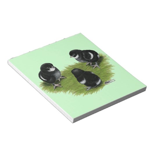 Bloc-note Marans Cuivre noir Chicks (Incliné)