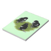 Bloc-note Marans Cuivre noir Chicks (Tourné)
