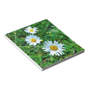 Bloc-note Marguerites oculaires