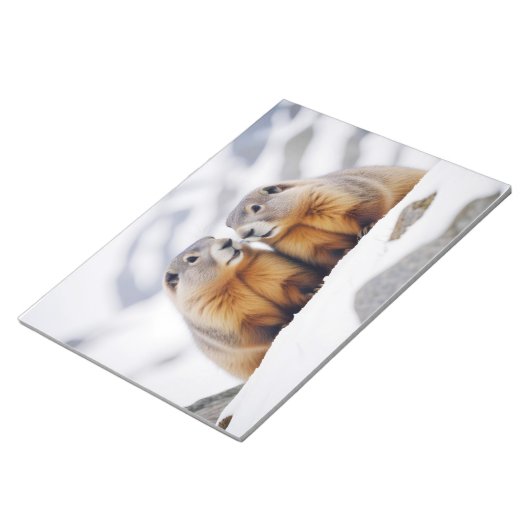 Bloc-note Marmot Animal Nature Wildlife Affection Caring (Incliné)