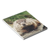 Bloc-note Marmotte (Incliné)