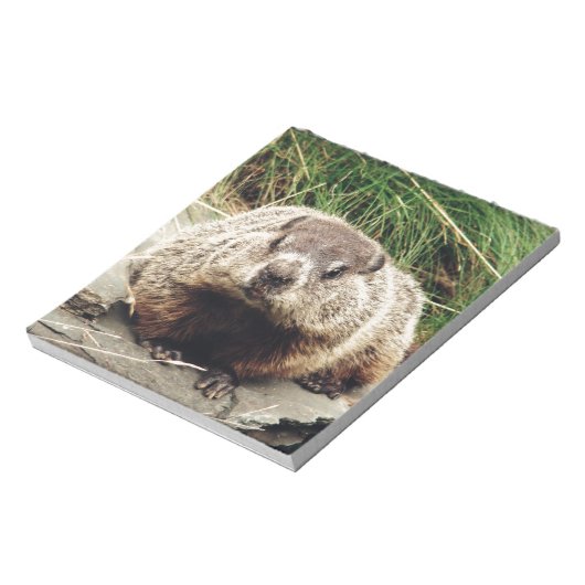 Bloc-note Marmotte (Tourné)