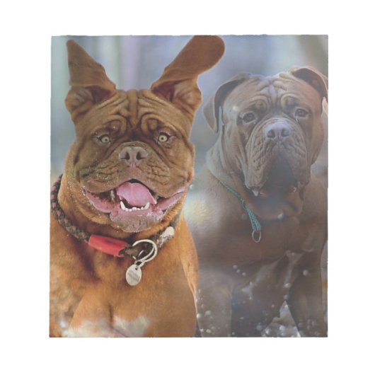 Bloc-note Mastiff (Devant)