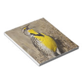 Bloc-note Meadowlark occidental (Strunella négligecta) (Incliné)