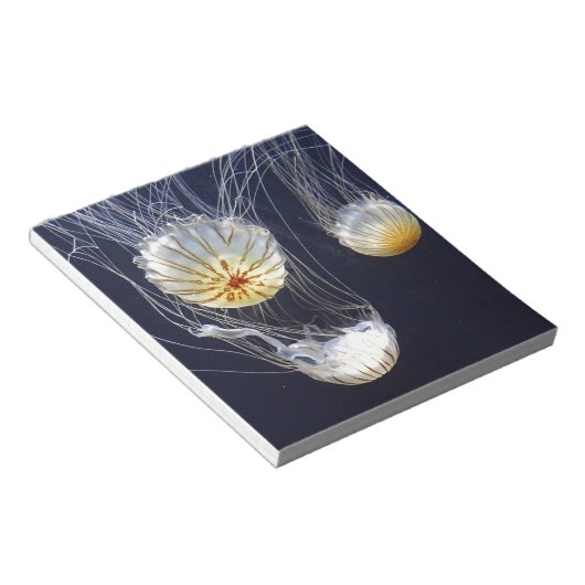 Bloc-note Méduse (Incliné)