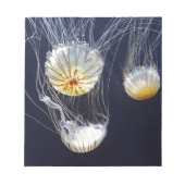 Bloc-note Méduse (Devant)