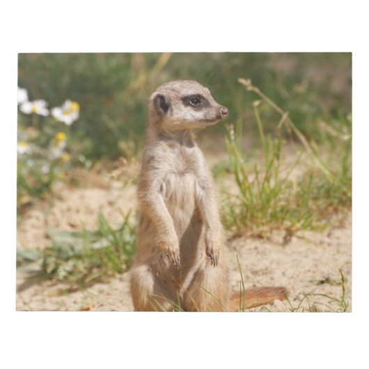Bloc-note Meerkat 2014-0901 (Devant)