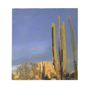 Bloc-note Mexique, Basse-Californie du Nord, Catavina Desert