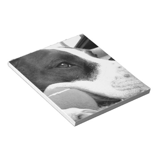 Bloc-note mignon chien pitbulle à l'air triste noir blanc av (Incliné)