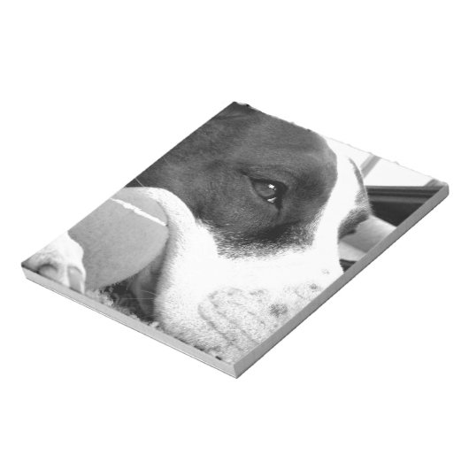 Bloc-note mignon chien pitbulle à l'air triste noir blanc av (Tourné)