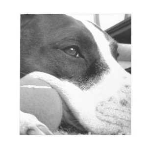 Bloc-note mignon chien pitbulle triste noir blanc avec balle
