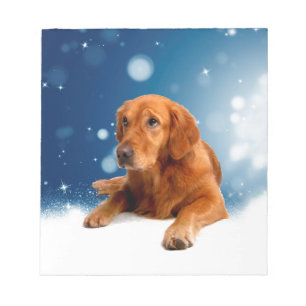 Bloc-note Mignonne Golden Retriever Chien assis dans les éto