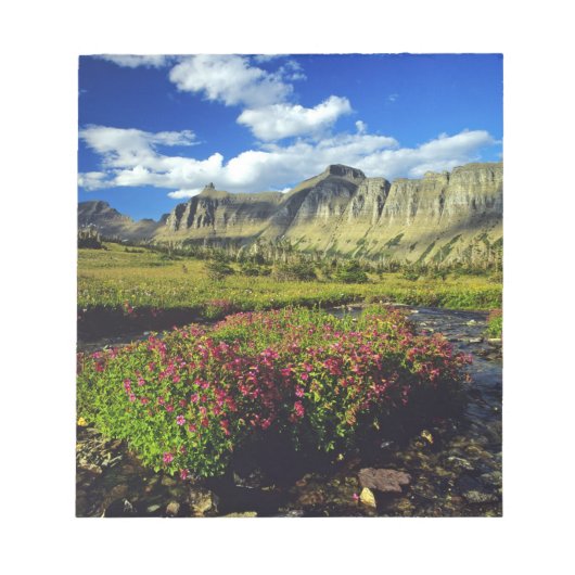 Bloc-note Mimulus de Logan Pass dans le parc national de Gla (Devant)