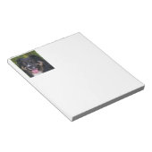 Bloc-note Miniature American Shepherd Black Tri (Incliné)