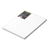 Bloc-note Miniature American Shepherd Black Tri (Tourné)