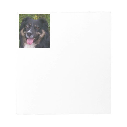 Bloc-note Miniature American Shepherd Black Tri (Devant)