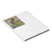 Bloc-note Miniature American Shepherd Red Merle avec Queue (Incliné)