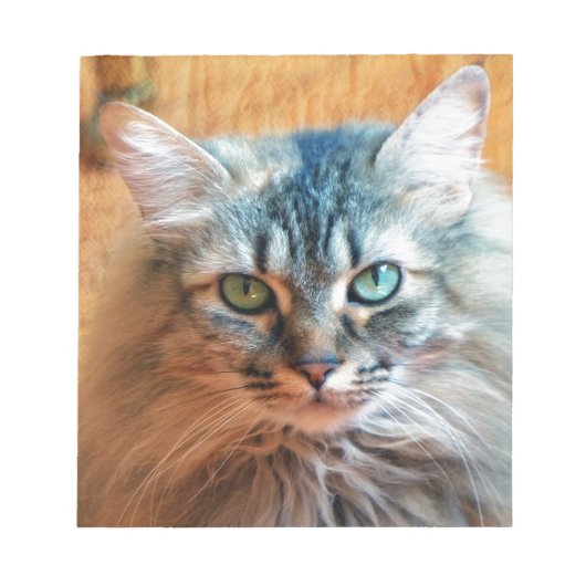 Bloc-note Miss Tootles (Devant)