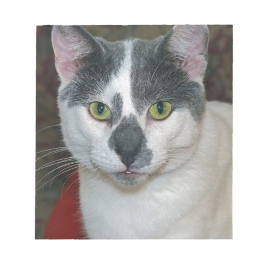 Bloc-note Mister Pants (Devant)