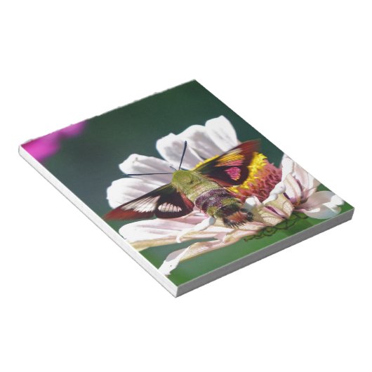 Bloc-note Mois des colibris (Incliné)