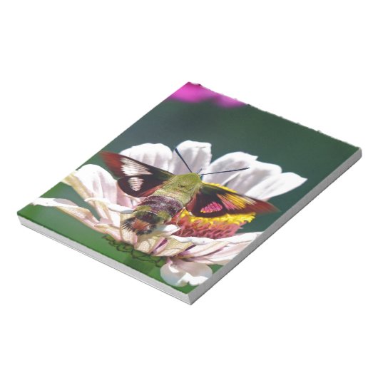 Bloc-note Mois des colibris (Tourné)