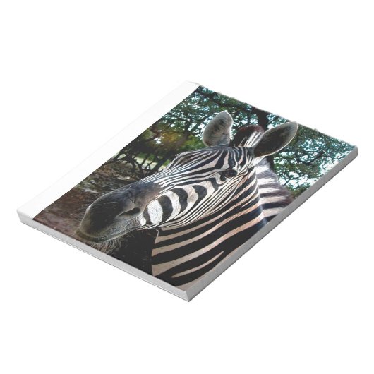 Bloc-note Mon ami trippé (Tourné)