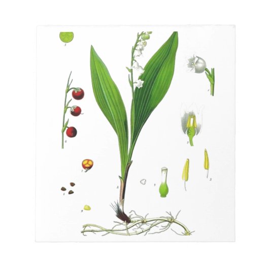 Bloc-note Muguet de mai (Devant)