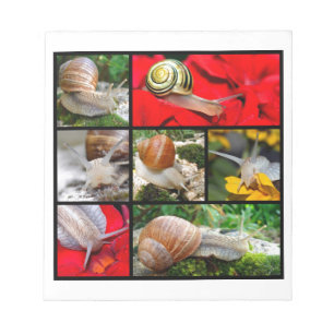 Bloc-note Multiple photos of snails
